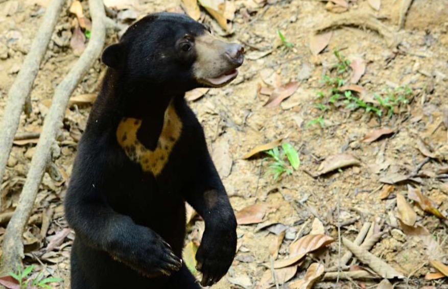 Inkmaker Easypaint installation at Mowilex Cikande factory