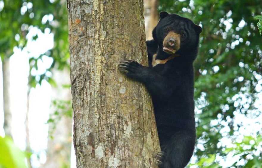 Easypiant Installation in Mowilex Cikande  factory