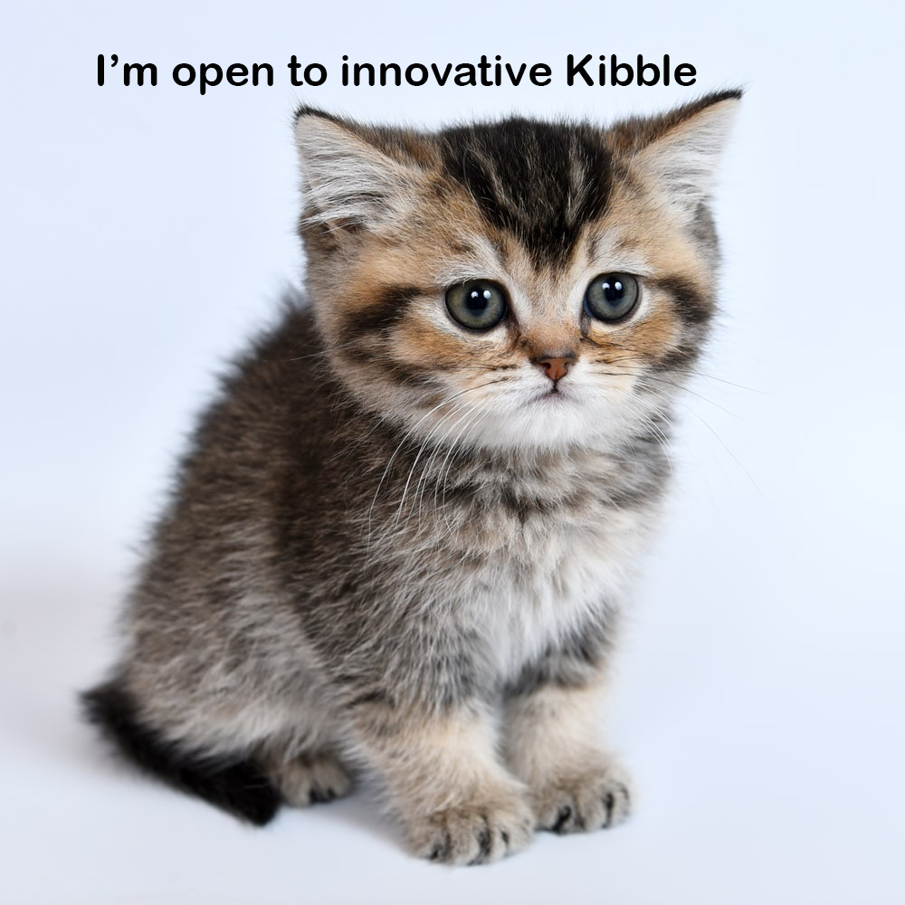 Kitten Kibble